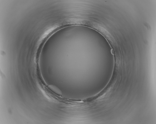 X0000090950674200708021337