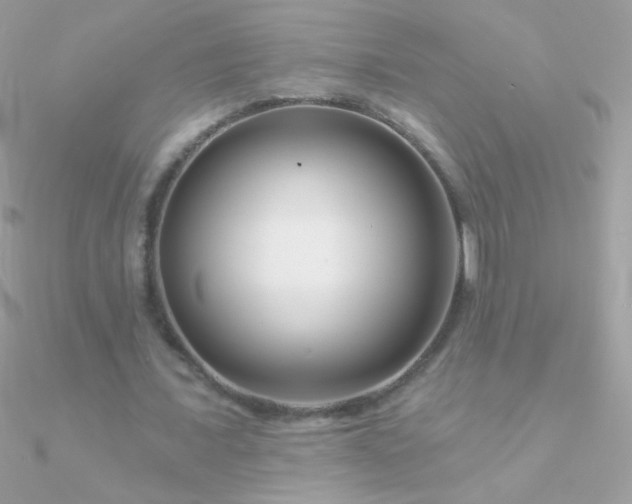 X0000090950675200708021337