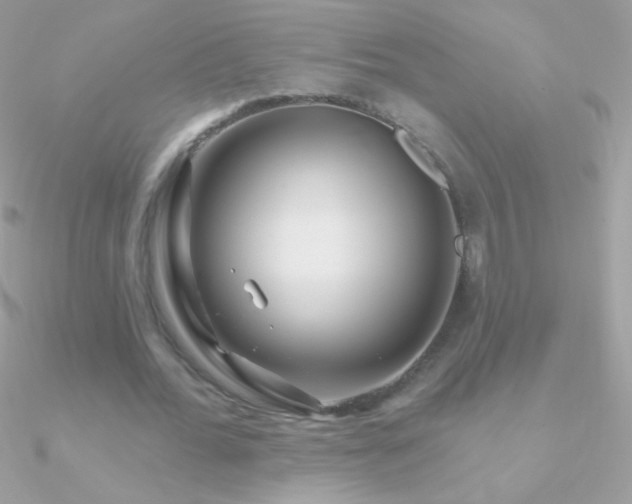 X0000090950676200708021337