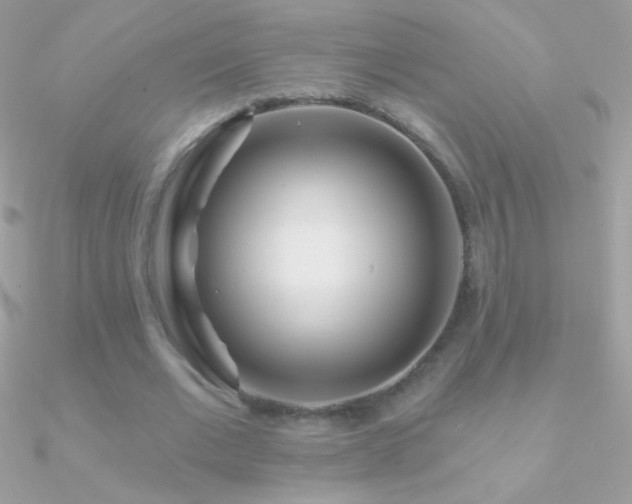 X0000090950677200708021337