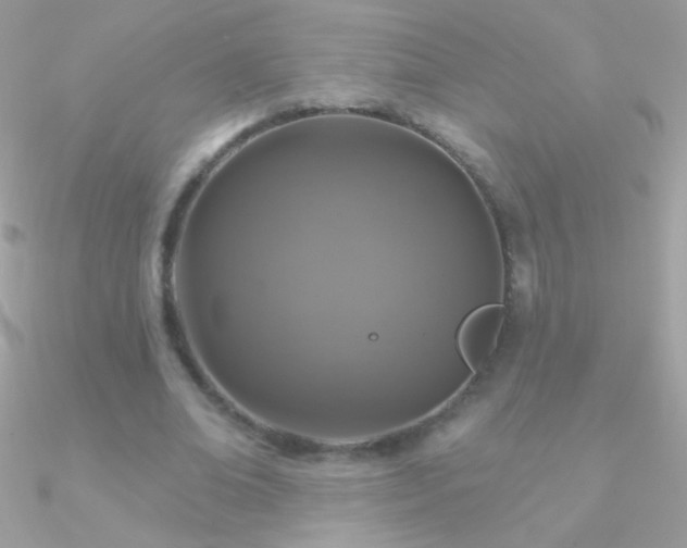 X0000090950678200708021337