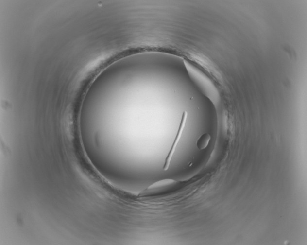 X0000090950680200708021337