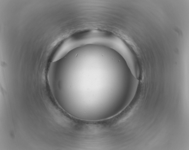 X0000090950681200708021337