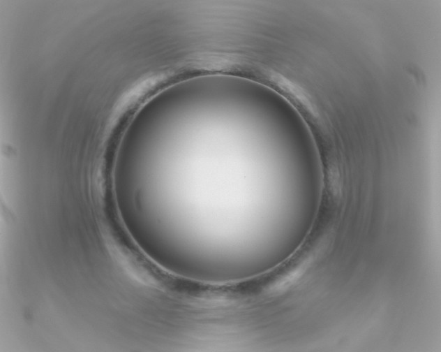 X0000090950682200708021337