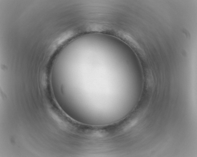 X0000090950683200708021337