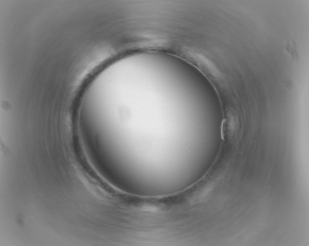 X0000090950684200708021337