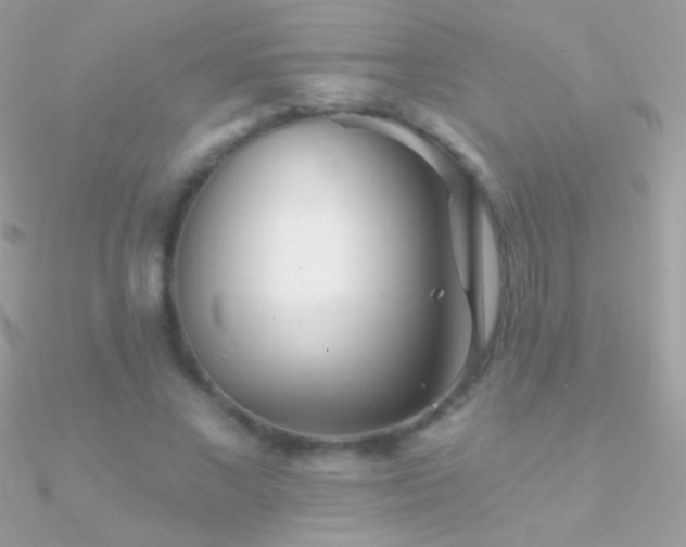 X0000090950685200708021337