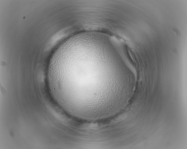 X0000090950687200708021337