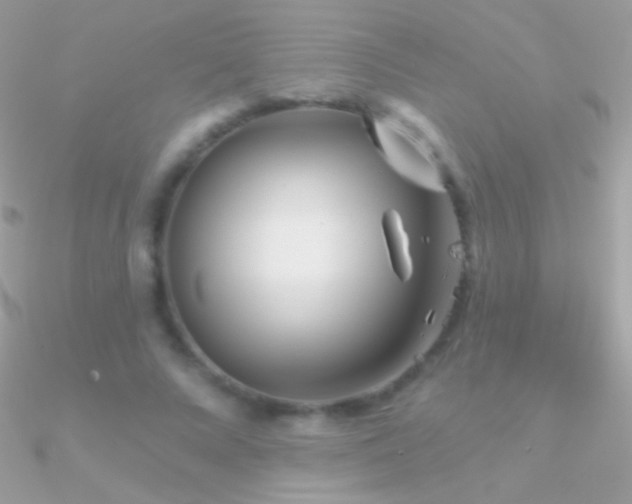 X0000090950688200708021337