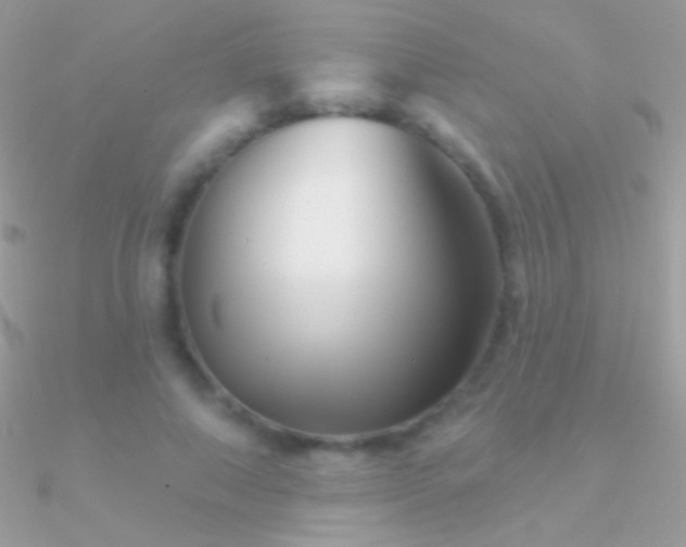X0000090950690200708021337