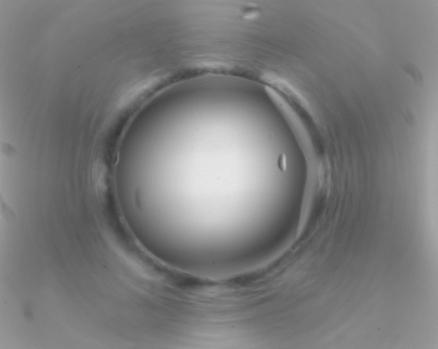 X0000090950692200708021337