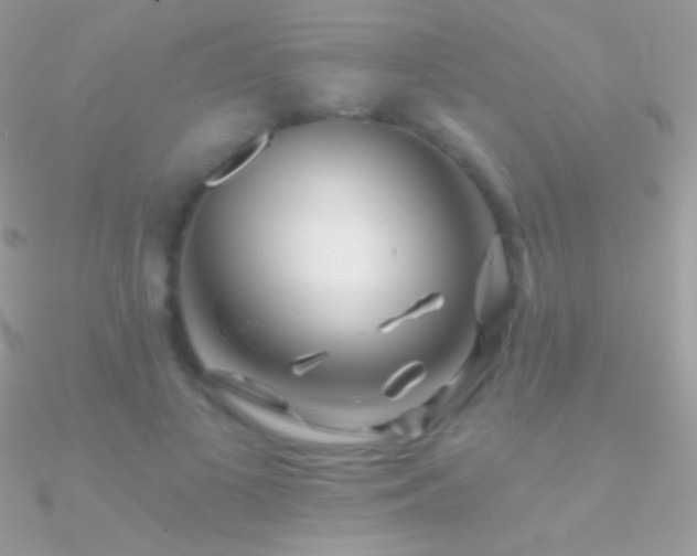 X0000090950693200708021337