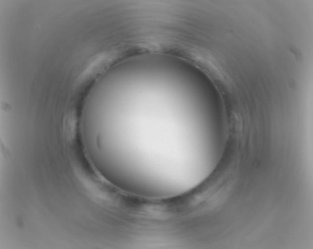 X0000090950694200708021337