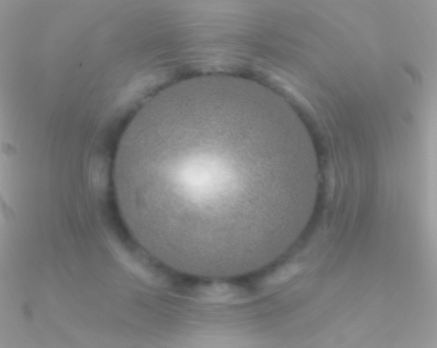 X0000090950695200708021337