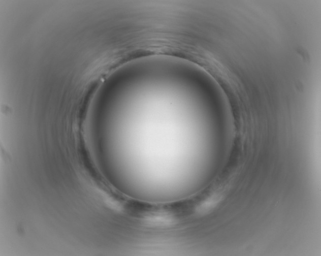X0000090950696200708021337