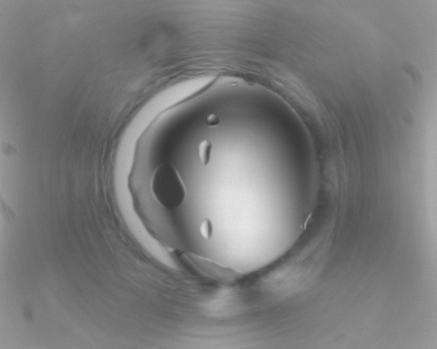 X0000090950697200708021337