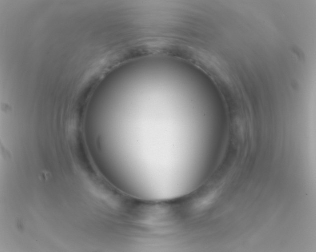 X0000090950698200708021337