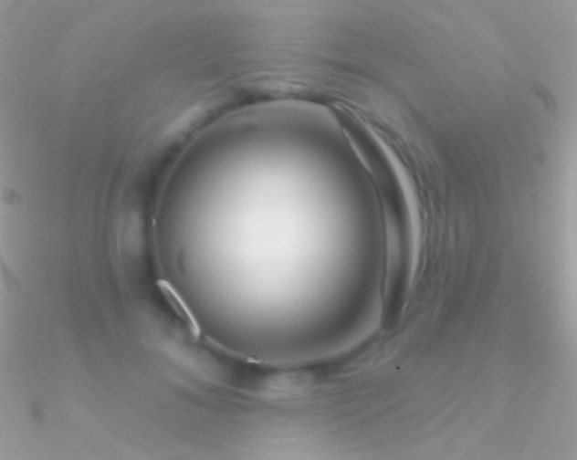 X0000090950700200708021337