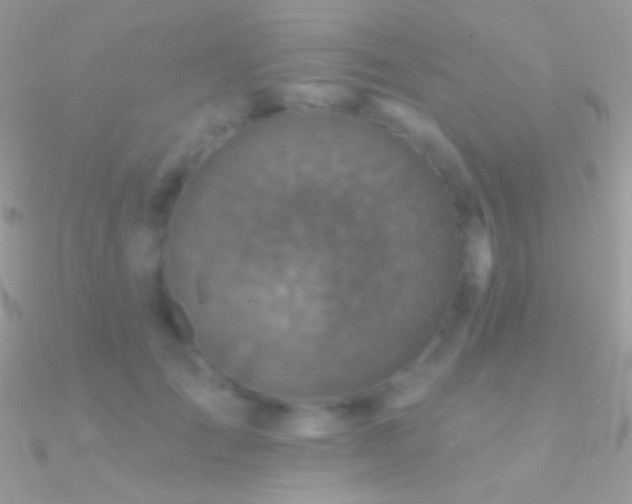 X0000090950701200708021337