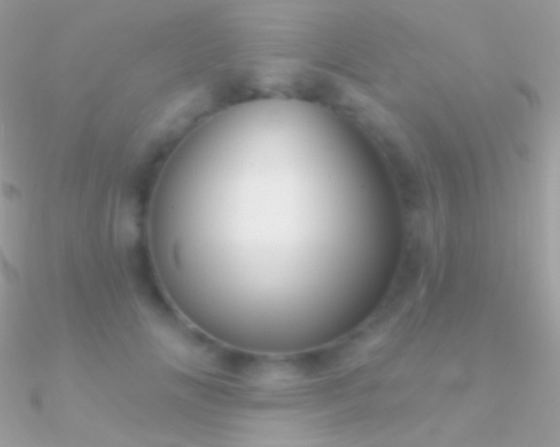 X0000090950702200708021337