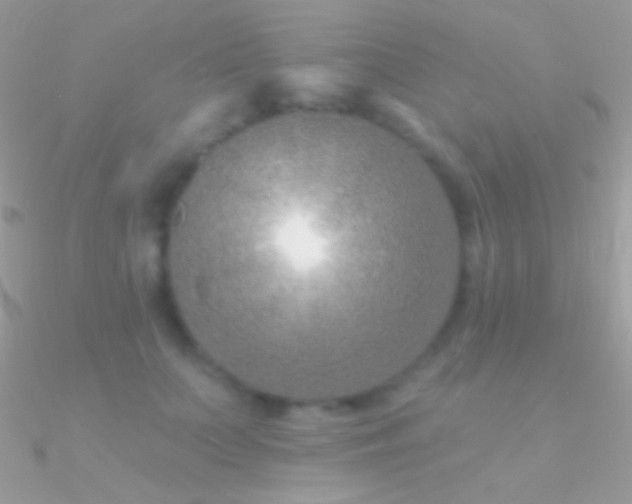 X0000090950703200708021337