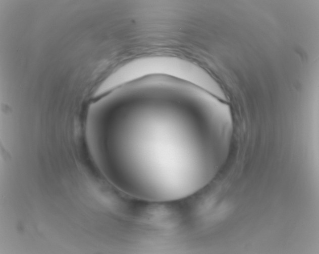 X0000090950704200708021337