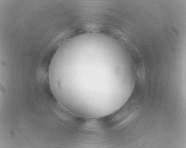 X0000090950705200708021337