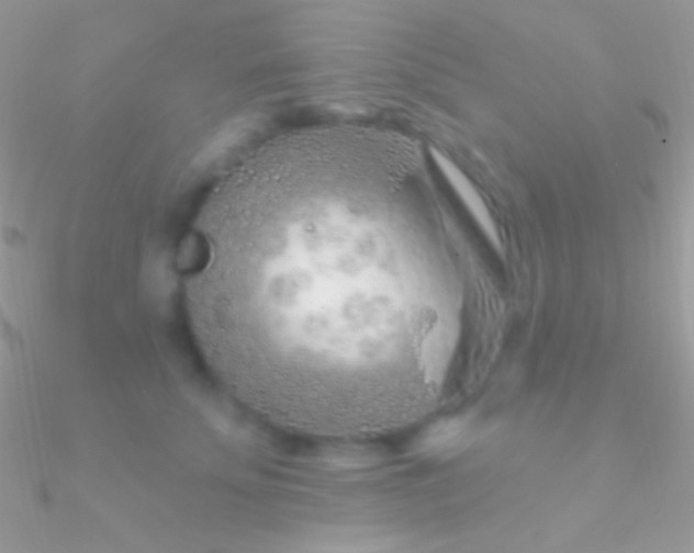 X0000090950707200708021337