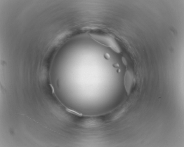 X0000090950708200708021337