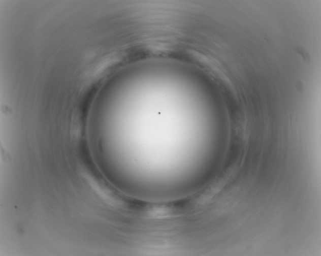 X0000090950710200708021337