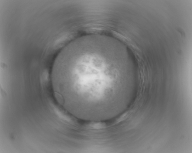 X0000090950711200708021337