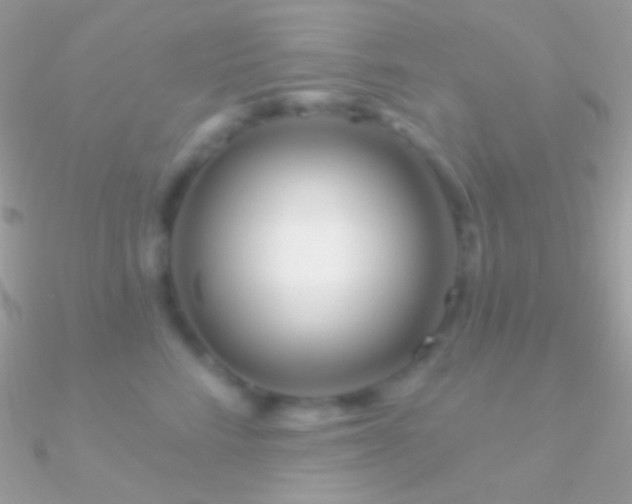X0000090950712200708021337