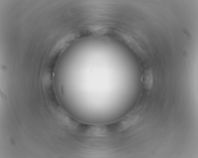 X0000090950713200708021337
