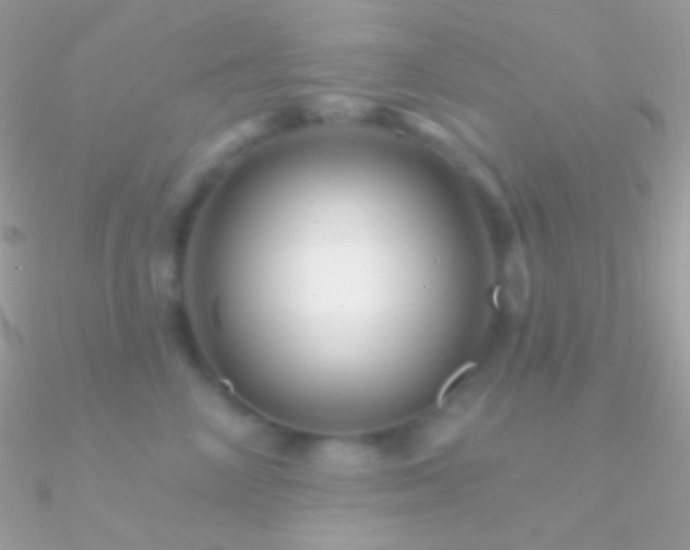X0000090950714200708021337
