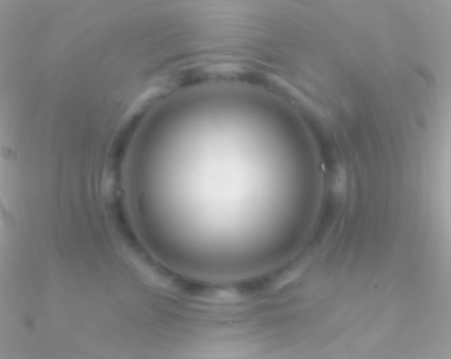 X0000090950715200708021337