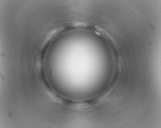 X0000090950716200708021337
