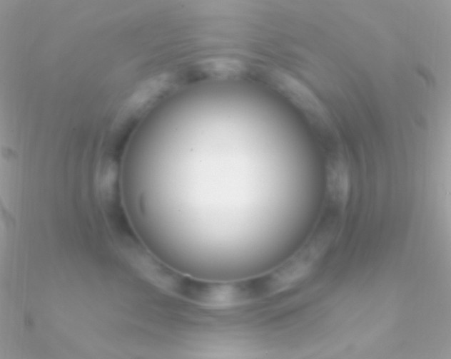 X0000090950717200708021337