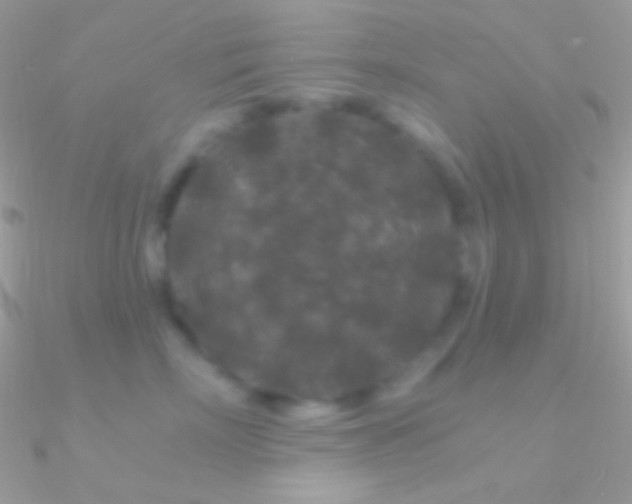 X0000090950718200708021337