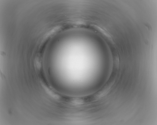 X0000090950719200708021336