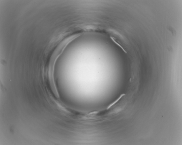 X0000090950720200708021336