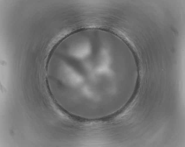 X0000090950721200708021336