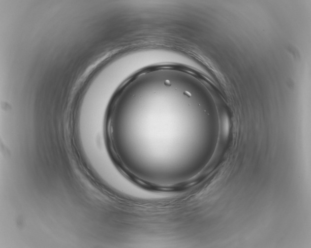 X0000090950722200708021336