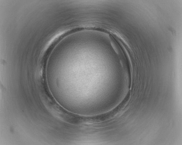 X0000090950723200708021336