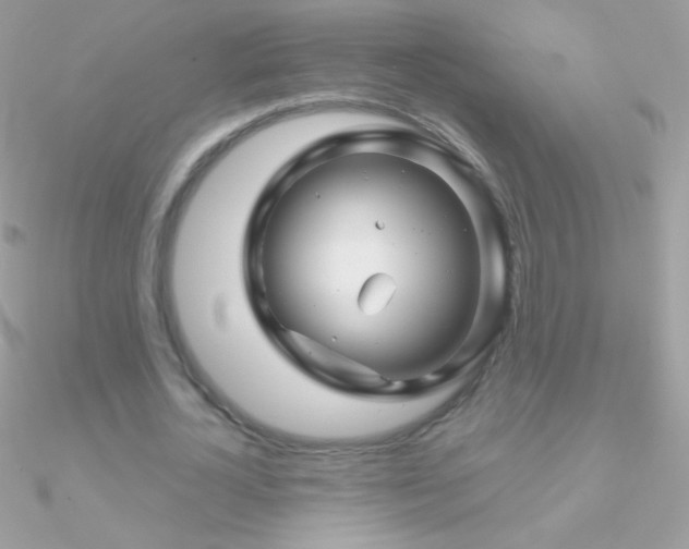 X0000090950724200708021336