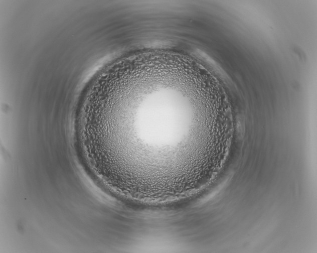 X0000090950725200708021336