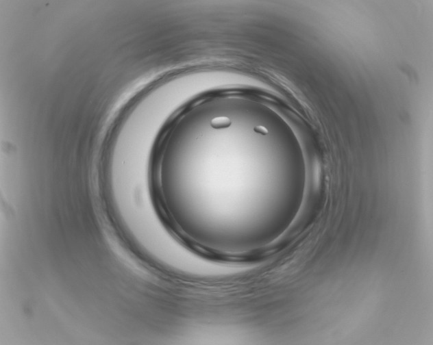 X0000090950726200708021336