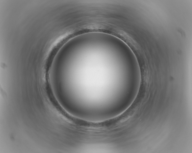 X0000090950727200708021336