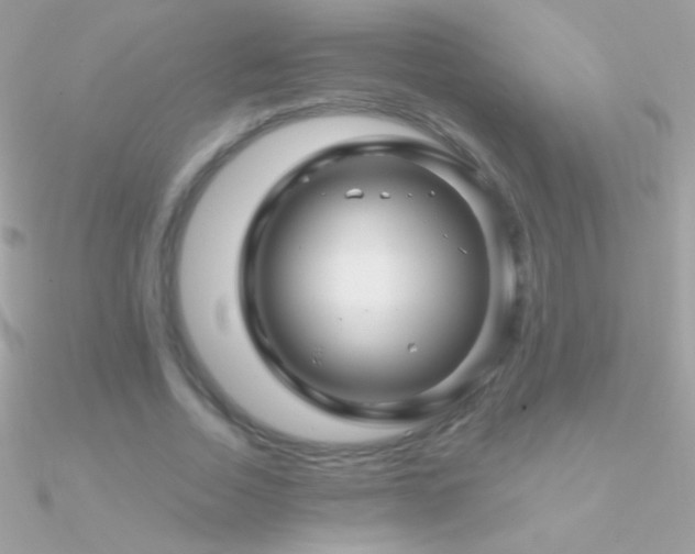 X0000090950730200708021336