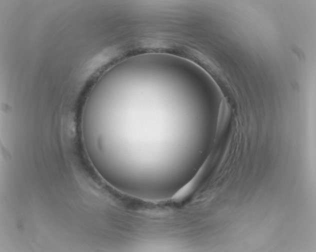 X0000090950731200708021336