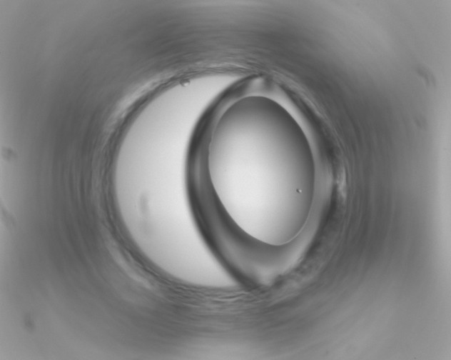 X0000090950732200708021336